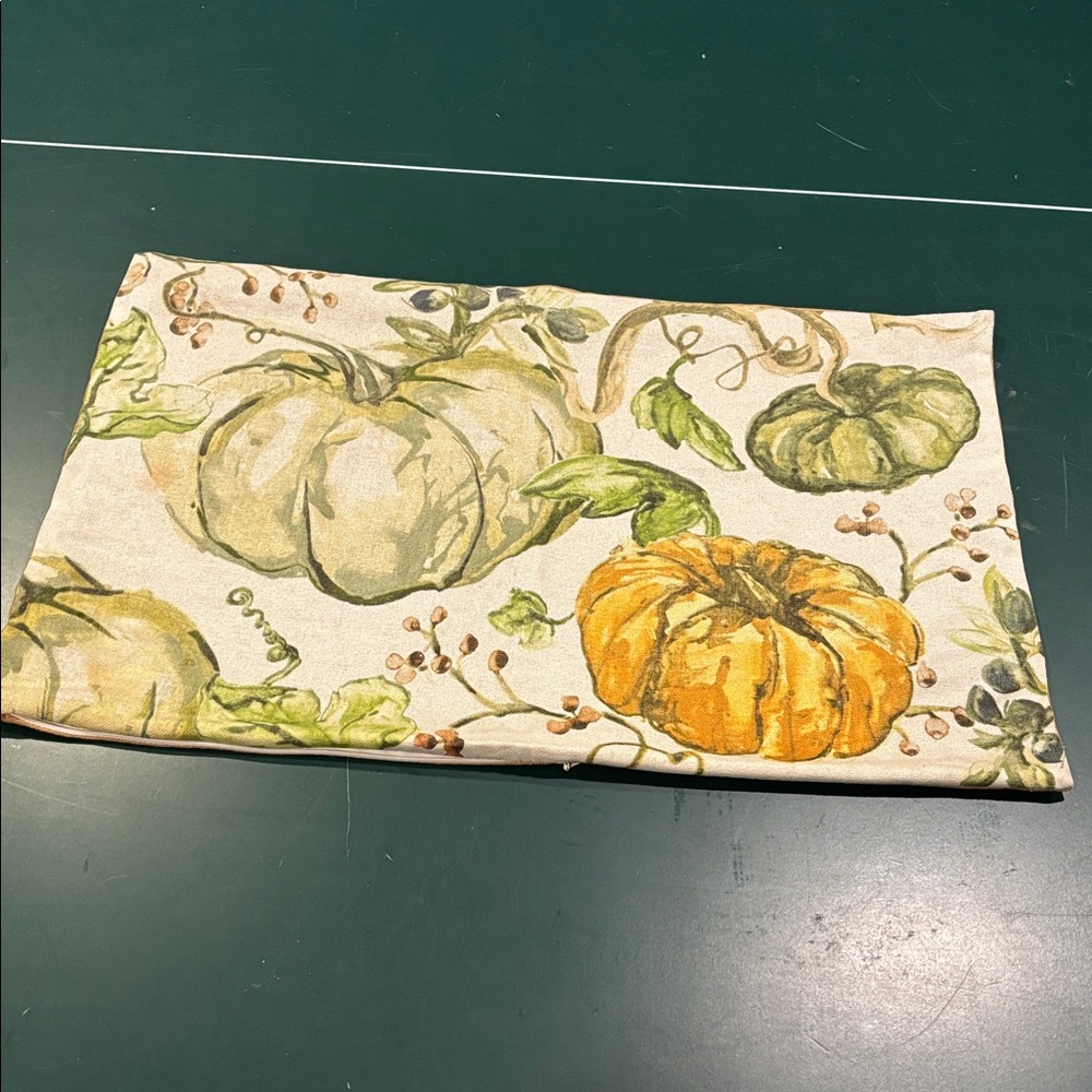 Retired Pottery Barn Green and Orange Pumpkin pillow cover